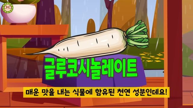 건강에 좋은 무! 이렇게 먹으면 간 질환, 암, 당뇨병에 최고입니다. 무의 효과 및 무 먹는방법! смотреть онлайн