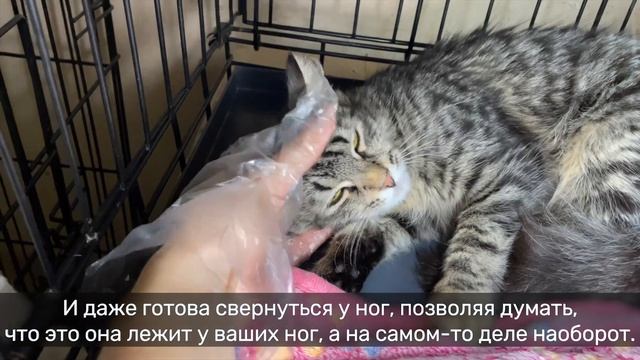 МИЗУКИ смотреть онлайн
