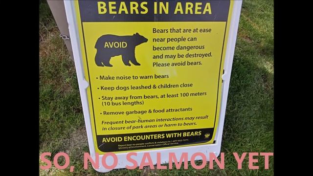 KANAKA BEAR SCAT DAILY REPORT AUGUST 06 2022 смотреть онлайн