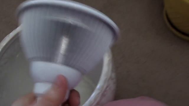 How to take care of Tulasi in USA смотреть онлайн