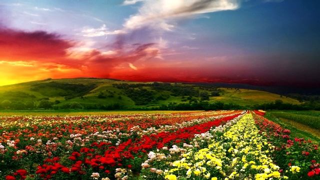 Восточная душевная музыка.......(Aranjiman_Celal Ehmedov) смотреть онлайн
