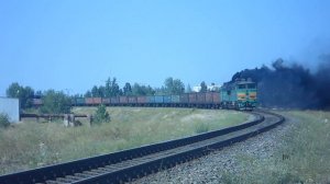 2ТЭ116-1515 с полувагонами дает медведя