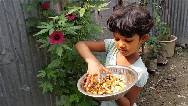 কাঁচা কলা মাখা খেতে কেমন? Elish Agro смотреть онлайн