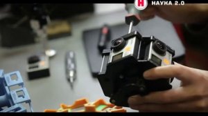 Наука 2.0 Птицы
