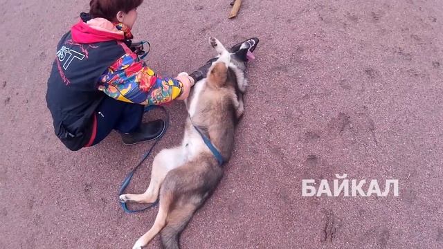 Байкал смотреть онлайн