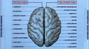 Infected Mushroom - Converting Vegeterians [CD2]