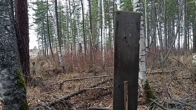 BLACK STRIKE B022. 100м. смотреть онлайн