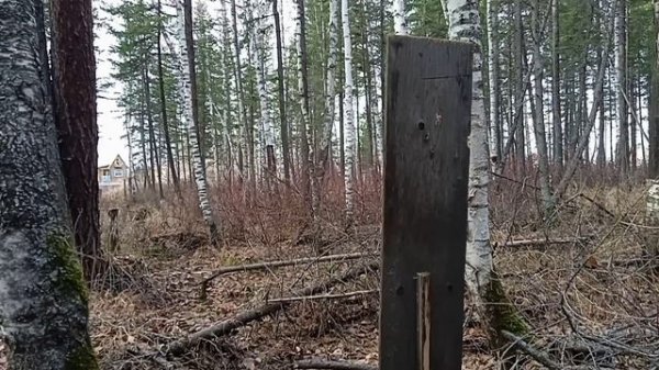 BLACK STRIKE B022. 100м.