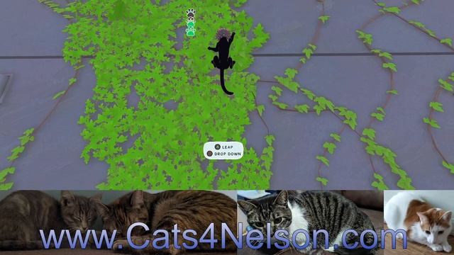 Little Kitty, Big City gameplay- part 5 смотреть онлайн