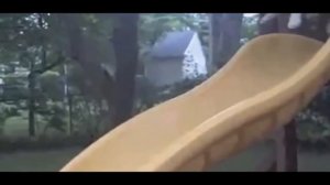 Коты уникумы!! Новинка!