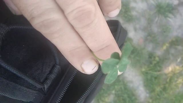 27 августа 2021 г. смотреть онлайн