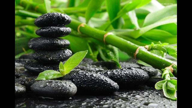 440 Гц Внутренняя Гармония _ Медитативная Музыка смотреть онлайн