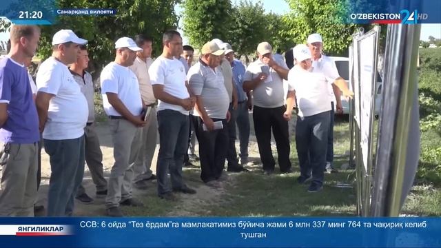 Самарқанд вилоятида томчилатиб суғориш технологияларини жорий қилиш ишлари смотреть онлайн