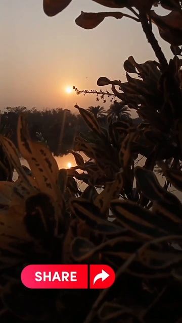 Secrets of Successful Fish Farming: How to Make a Profit #short #shorts #youtubeshorts #viral #vide смотреть онлайн