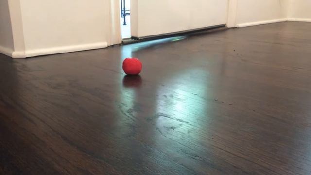 Clementine's Morning Out (Part I) смотреть онлайн