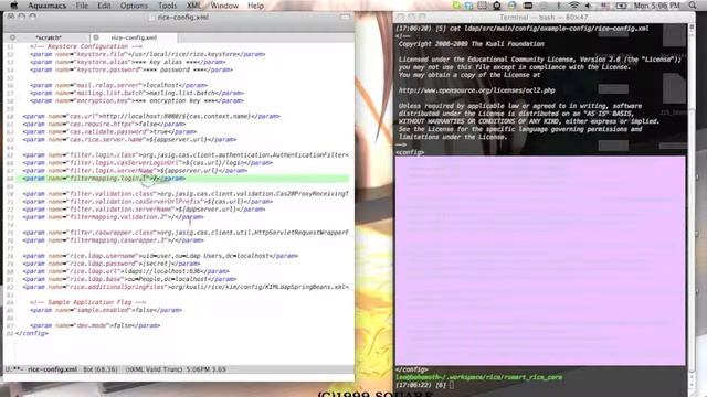 Configuring CAS/LDAP for KC/Rice смотреть онлайн