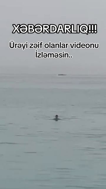 (Hessas Görüntüler) 09.06.2023 tarixinde Misirde istirahət Edən 21 yaşlı turisti Akulalar yeyiblər