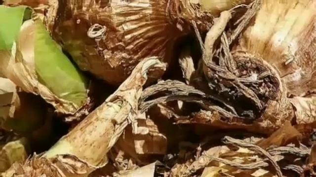 Bunga Bakung | Si Cantik Yang Menawan смотреть онлайн
