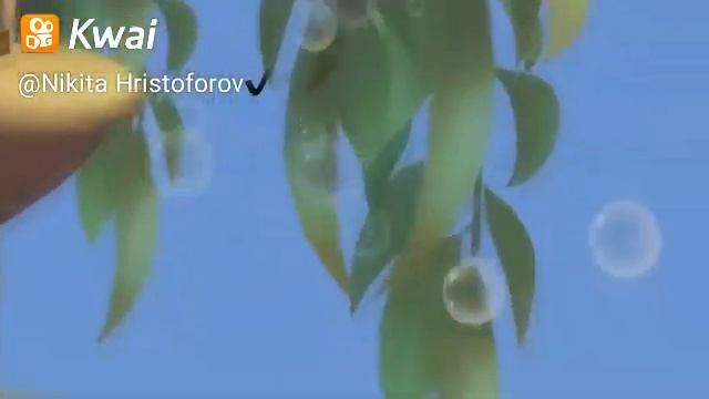 Какую музыку предпочитает Лунтик) смотреть онлайн