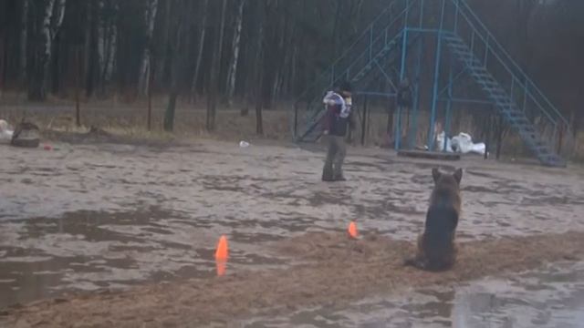 Зима на Ветеранов 2013 смотреть онлайн