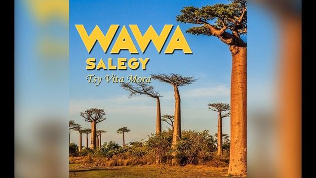 Wawa Salegy - Tsy Vita Mora - audio смотреть онлайн