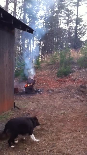 Saiga 12 fun смотреть онлайн