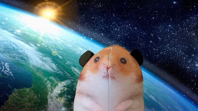 КЛИП БЛОПТОП💜💛 (CAFARD-БЛОПТОП) @bloptop смотреть онлайн