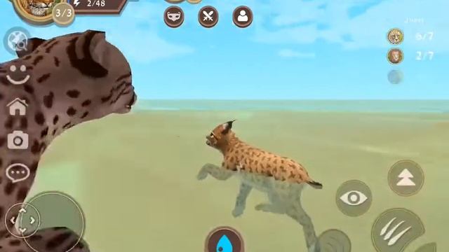 Playing as a baby lynx first time! смотреть онлайн