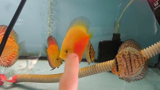 Отправка в Кисловодск смотреть онлайн