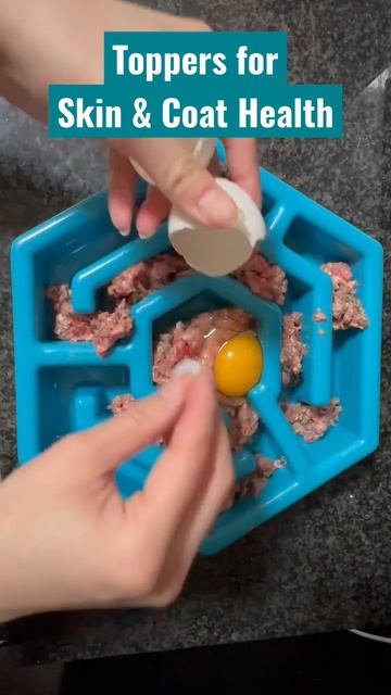 dog food toppers to maintain a healthy skin & coat! 🐶💅 #doglover #shorts #dogmom #rawdogfood смотреть онлайн