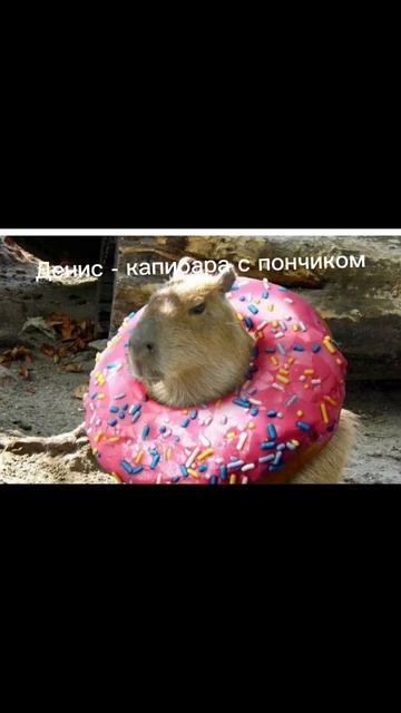мне нечего делать так что я сделал Какая ты капибара по имени II смотреть онлайн