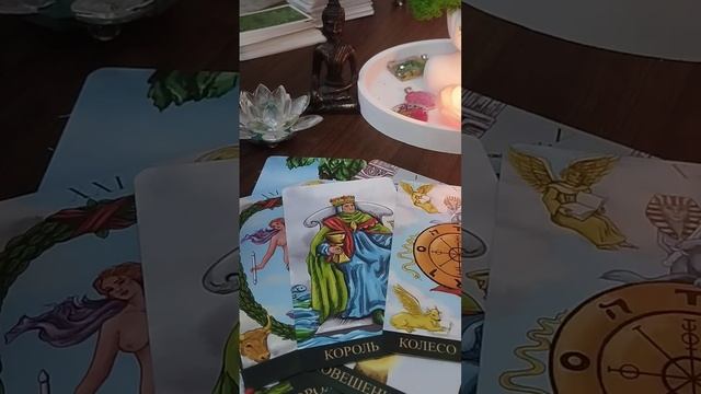 Мужчина на пороге?! 💐☀️♥️🙋 #таро #поток #tarot #подсказки #миртаро #мужчина #отношения смотреть онлайн