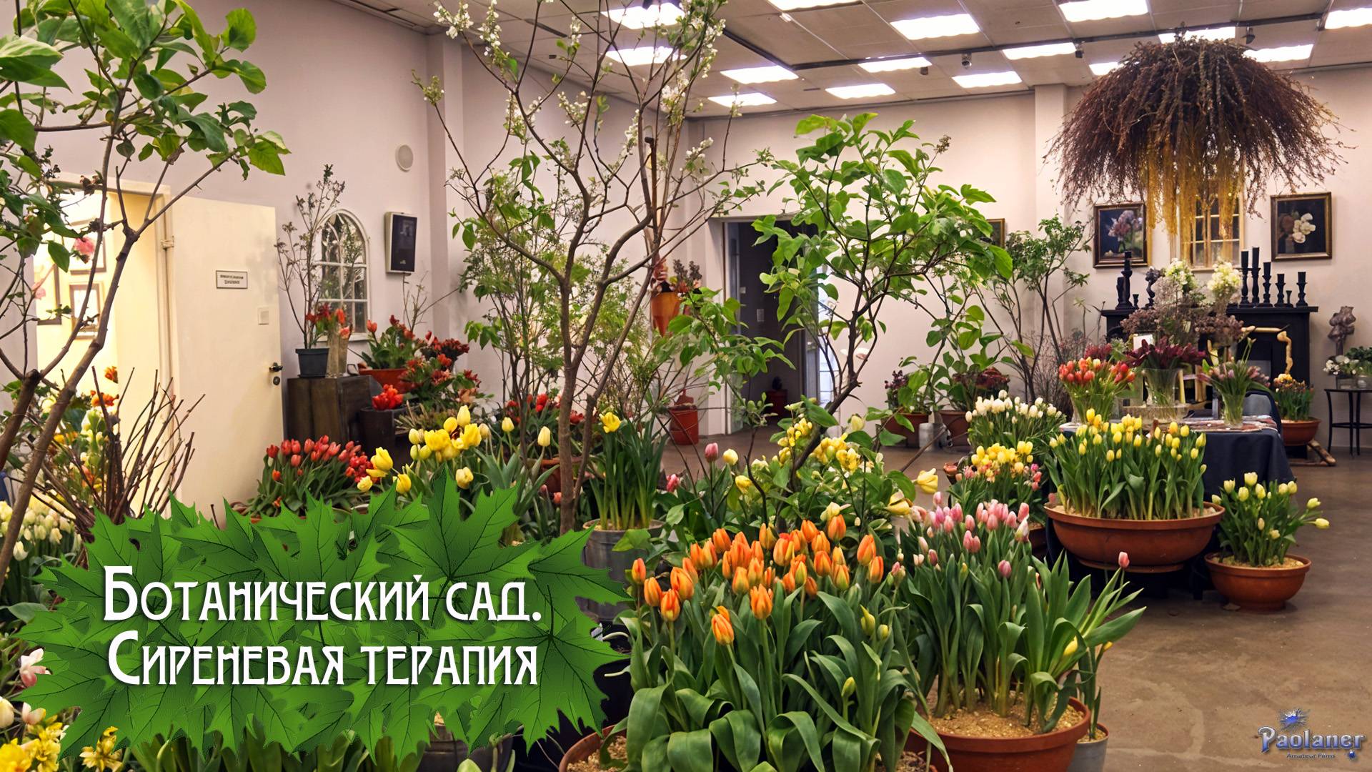 Ботанический сад. Сиреневая терапия (2025) смотреть онлайн