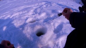 Чепца. Хороший февральский денек