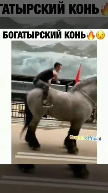 Богатырский конь