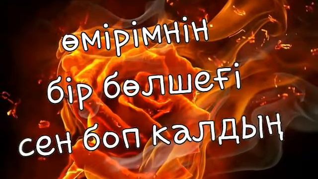 Хамид мусаев смотреть онлайн