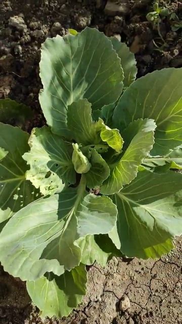 Это какой то ужас! смотреть онлайн