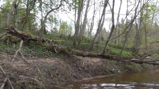 Весенний сплав по реке Серёжа смотреть онлайн