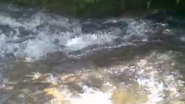 Vídeo piribebuy смотреть онлайн