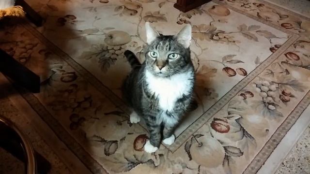 Winslow after a week of enemas смотреть онлайн