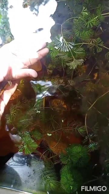 August 10, 2023 смотреть онлайн