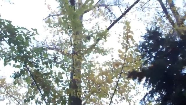 Тонкие вибрации смотреть онлайн