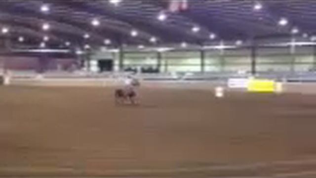 Savannah and Monkey at Globe смотреть онлайн