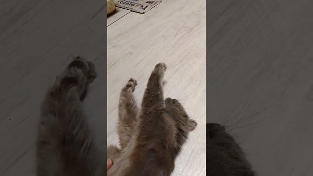 25 ноября 2023 г. смотреть онлайн