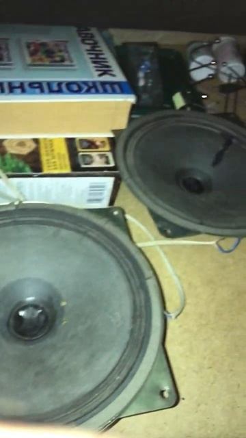 Поставил 20е динамики в Домашний автозвук смотреть онлайн