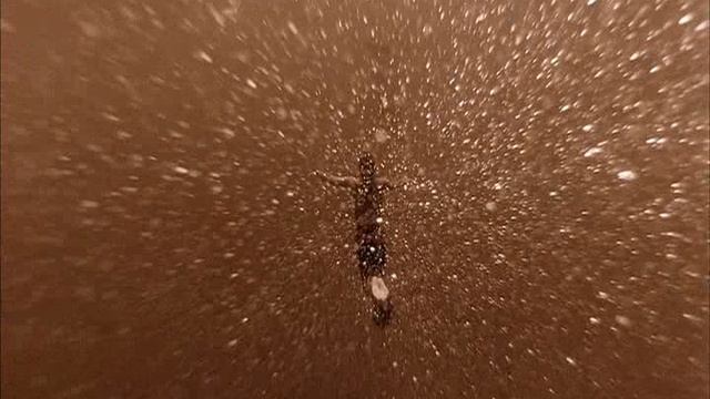 023_DG_Faces Of Stone / Медитация смотреть онлайн