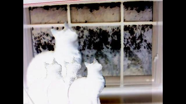 Bibio - Lover's Carvings (Funky Drummer Remix) смотреть онлайн