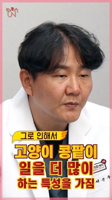 고양이 신부전증 #shorts смотреть онлайн