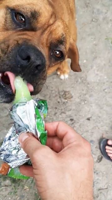 любимая еда смотреть онлайн