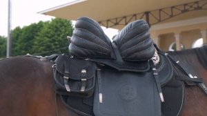 Кабардинский Конь 🐴 ყაბარდოული ცხენი